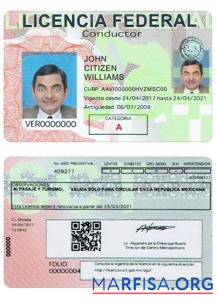 Downloadable Mexico driving license real example